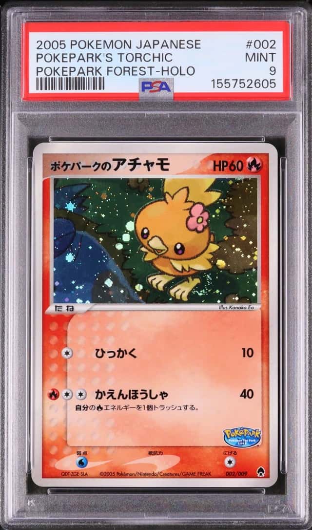 Pokepark's Torchic