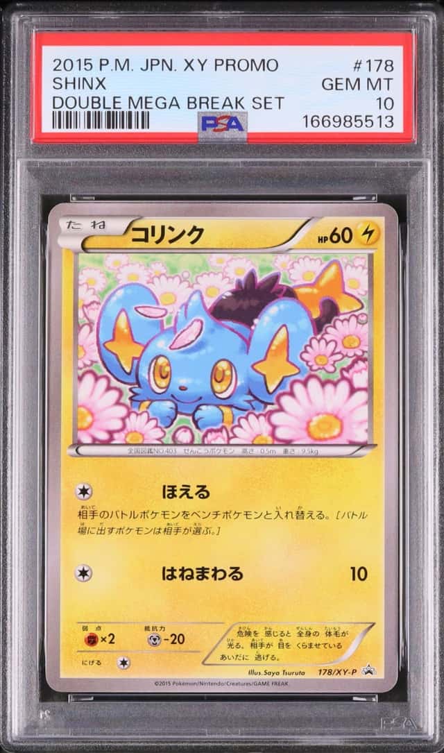 Shinx