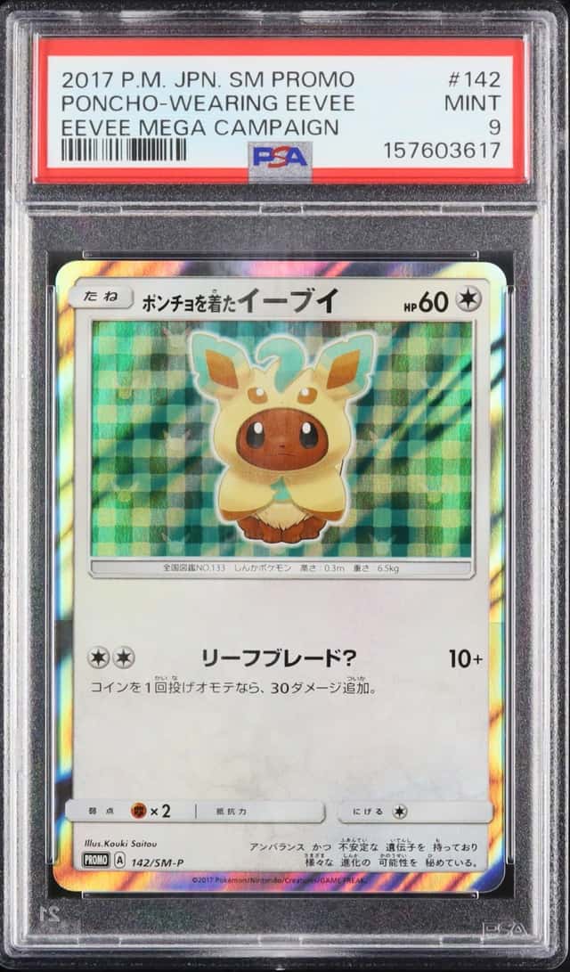 Poncho-Wearing Eevee
