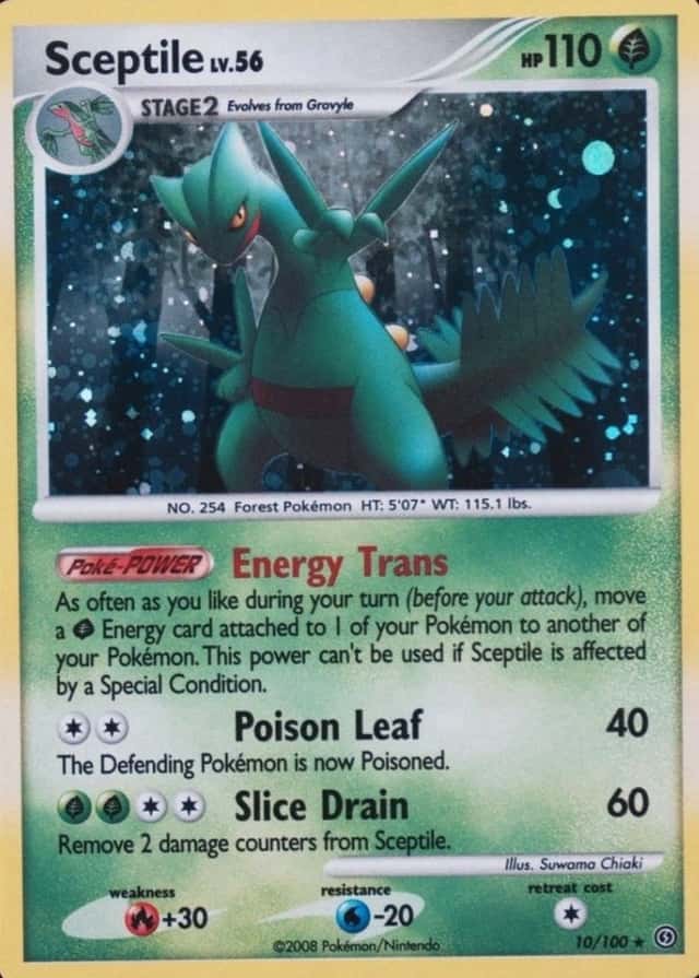 Holo
