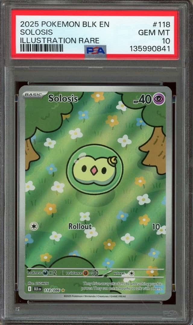 Solosis