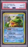 Ludicolo