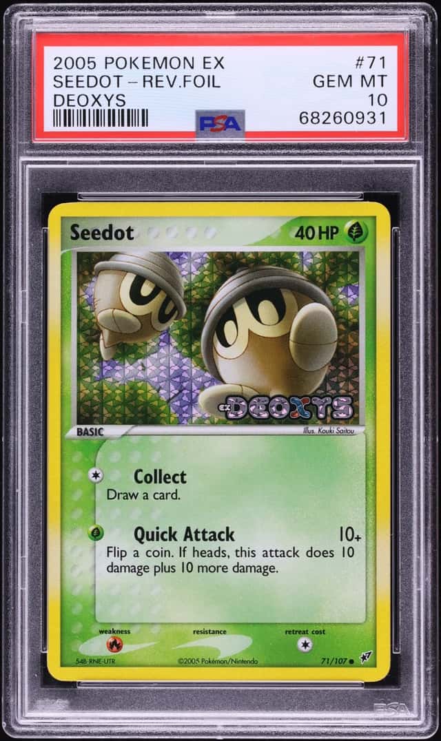 Seedot