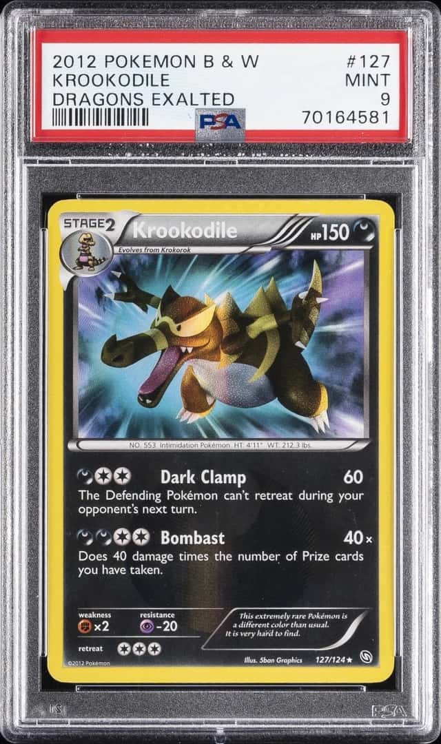 Krookodile