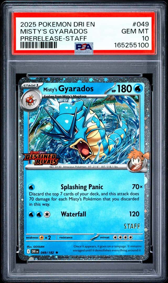 Misty's Gyarados