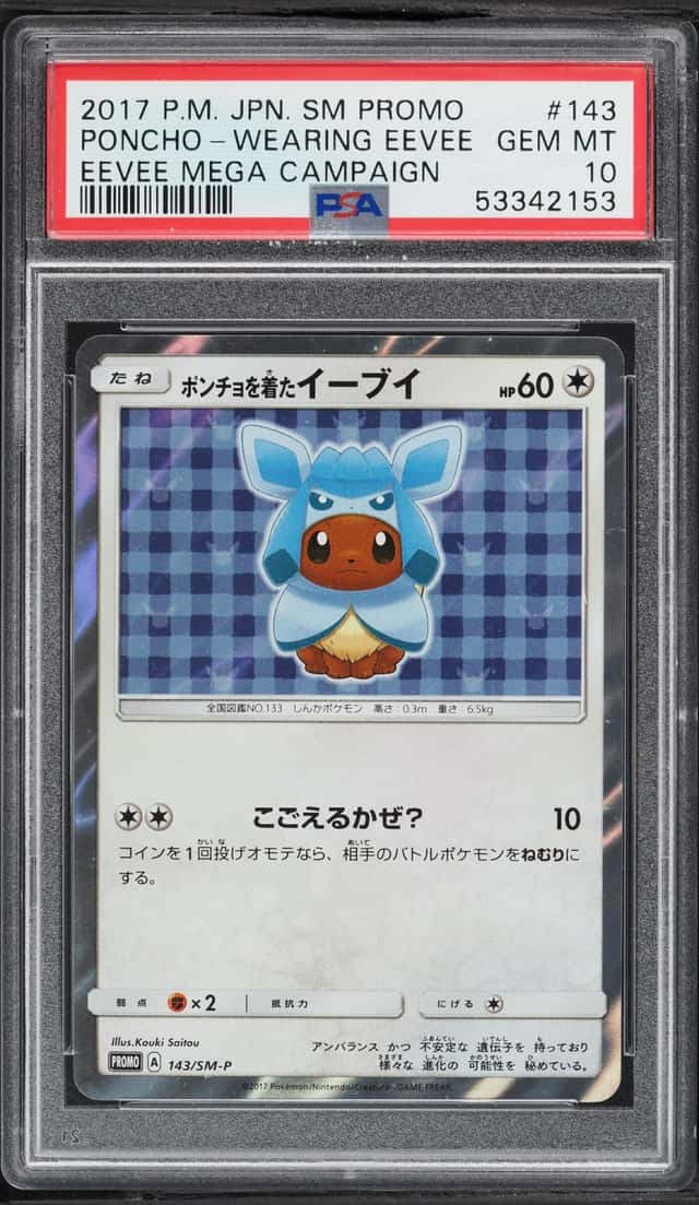 Poncho-Wearing Eevee