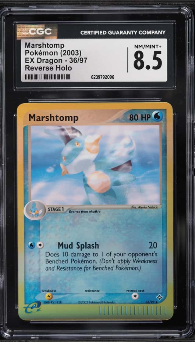 Marshtomp