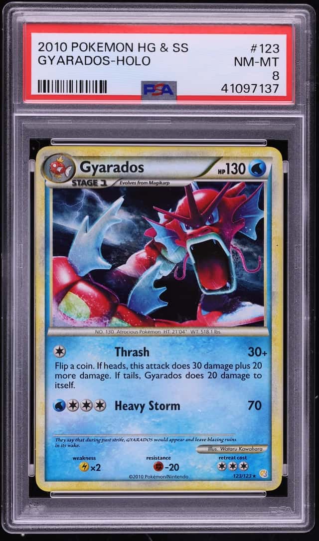 Gyarados