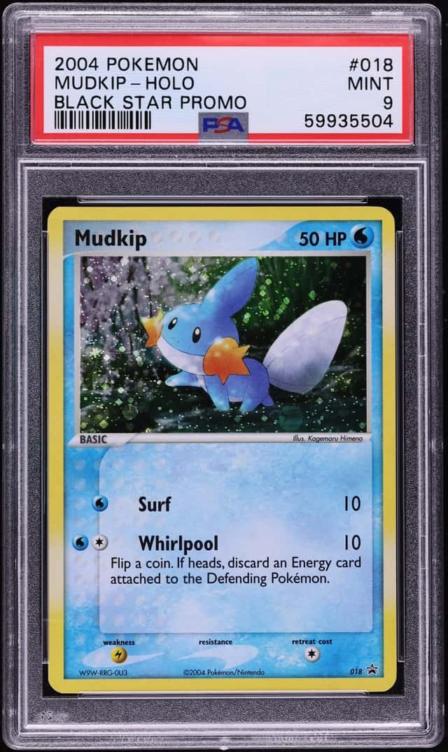 Mudkip