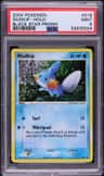 Mudkip