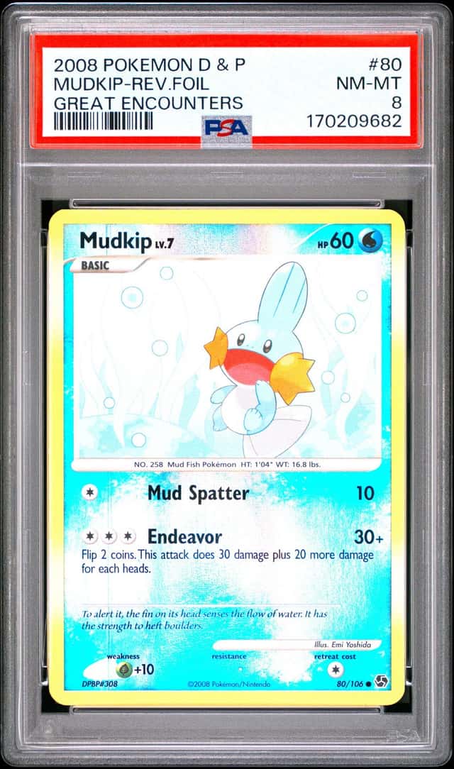Mudkip