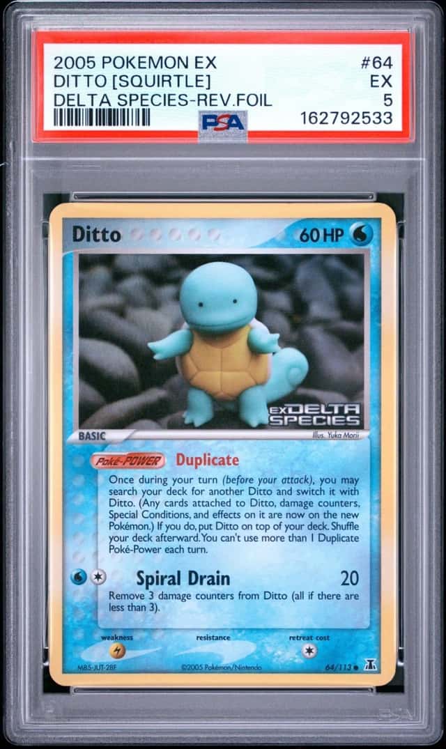 Ditto [Squirtle]