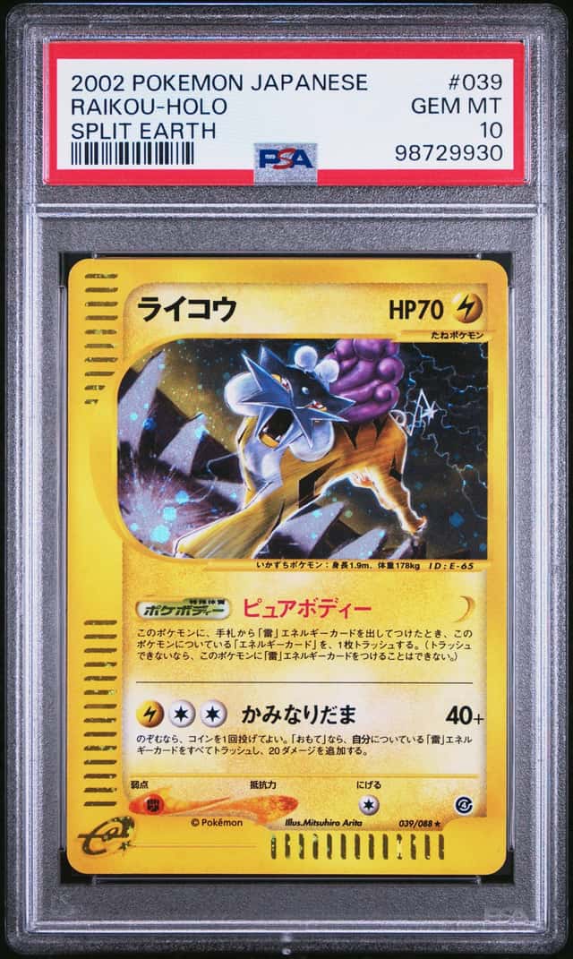 Raikou