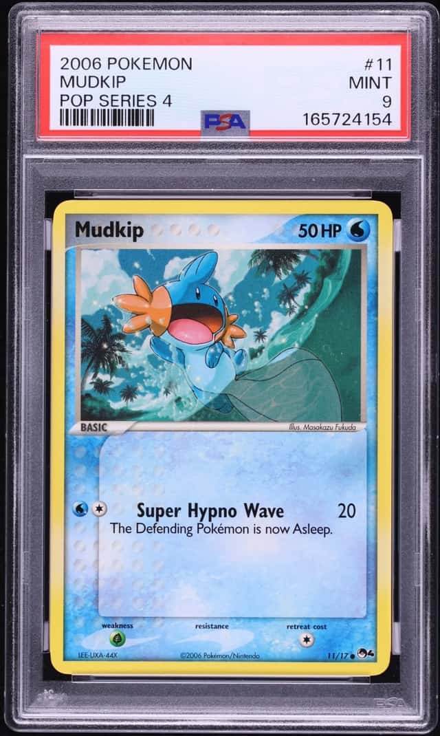 Mudkip