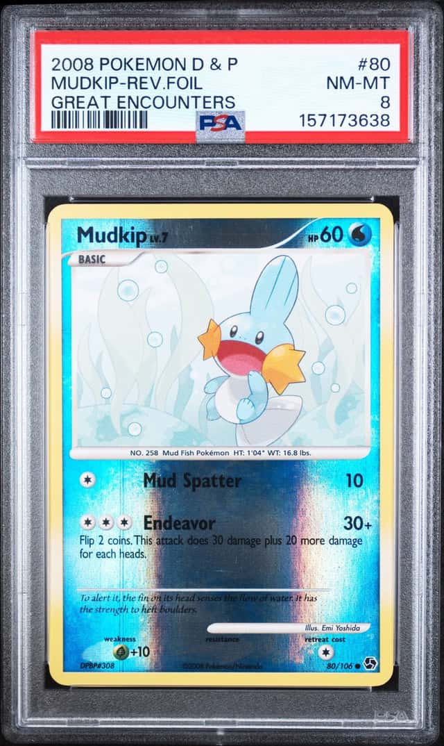 Mudkip