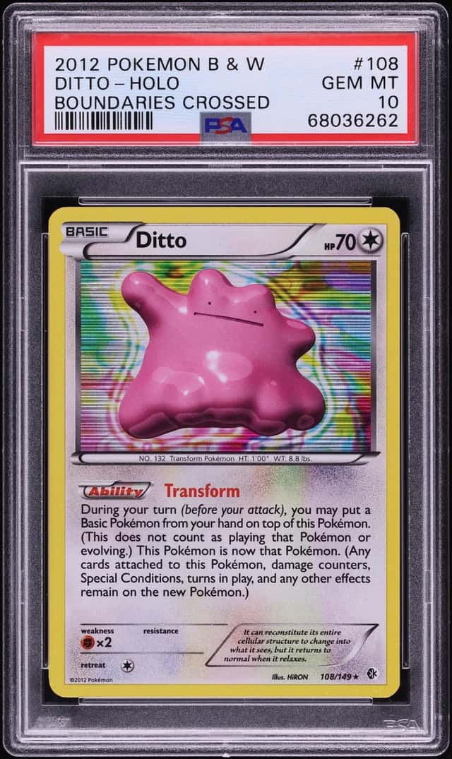 Ditto