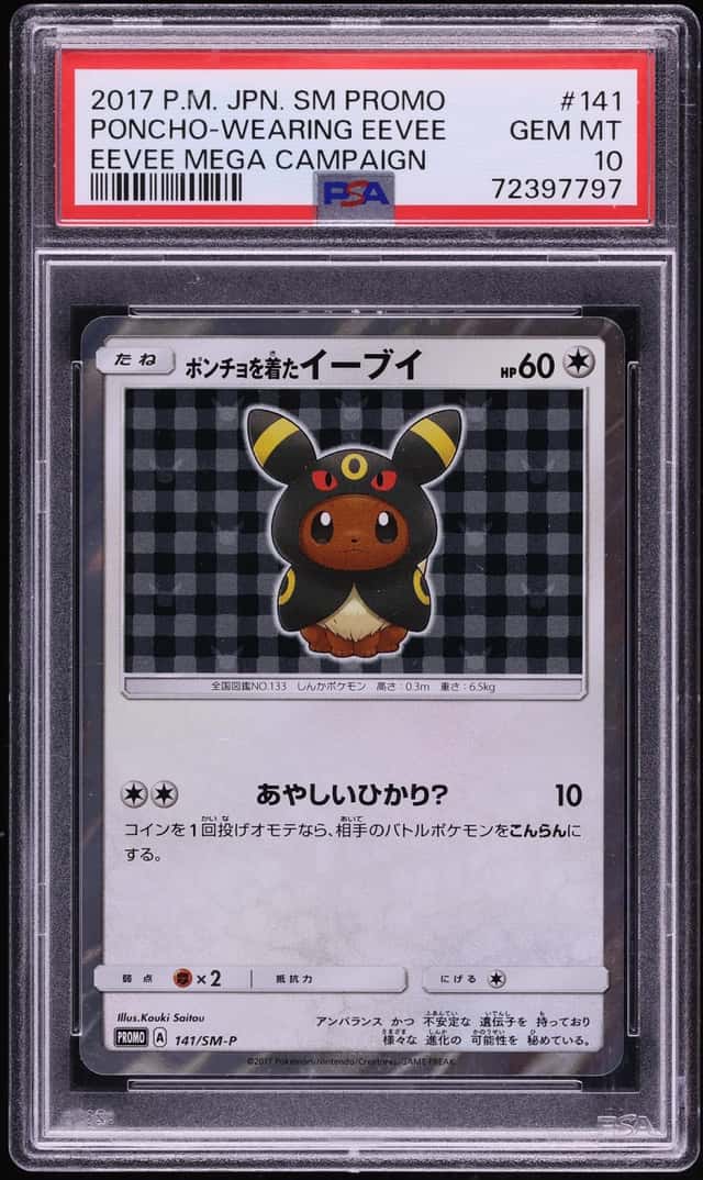 Poncho-Wearing Eevee