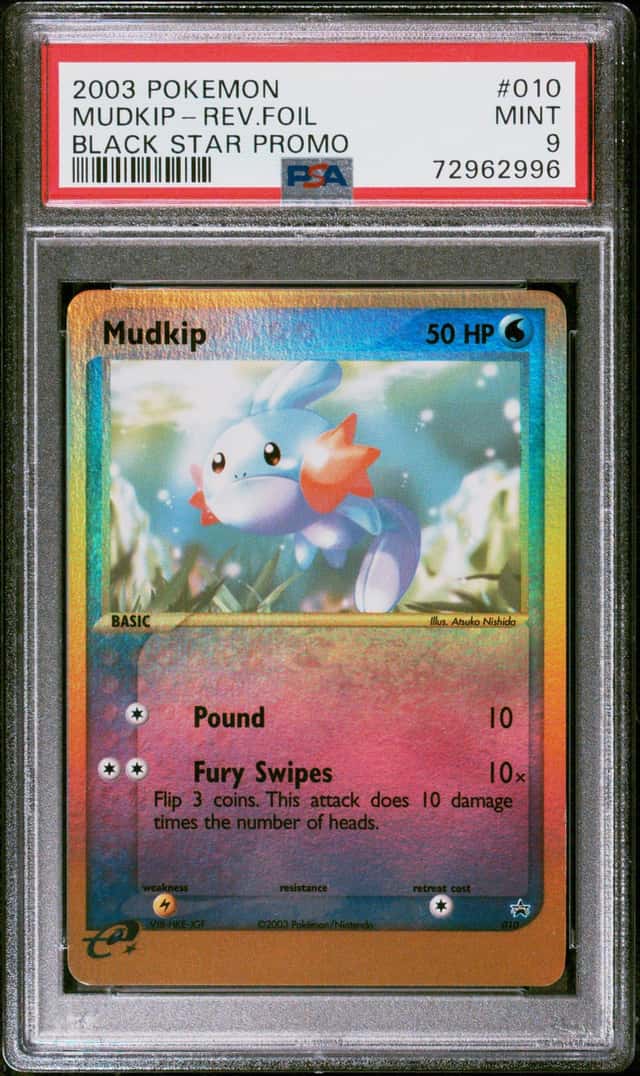 Mudkip