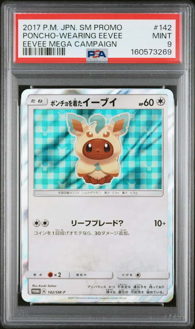 Poncho-Wearing Eevee