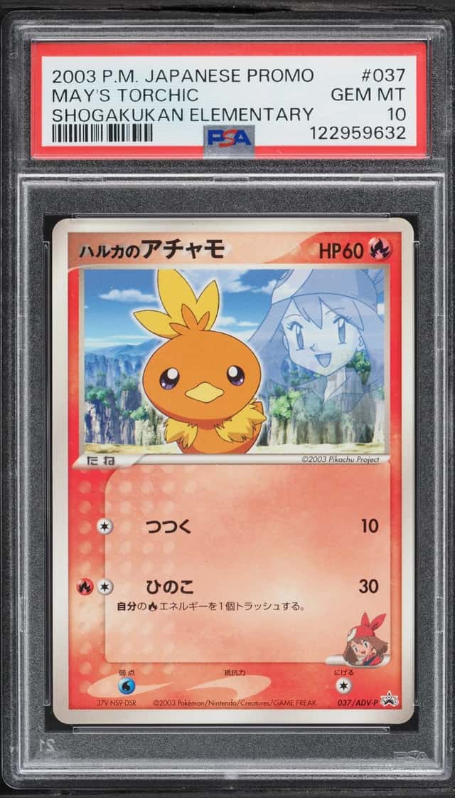 May's Torchic