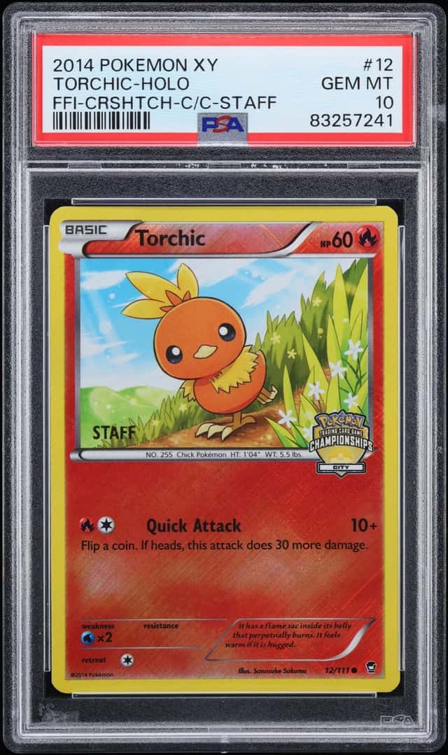 Torchic