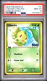 Chikorita