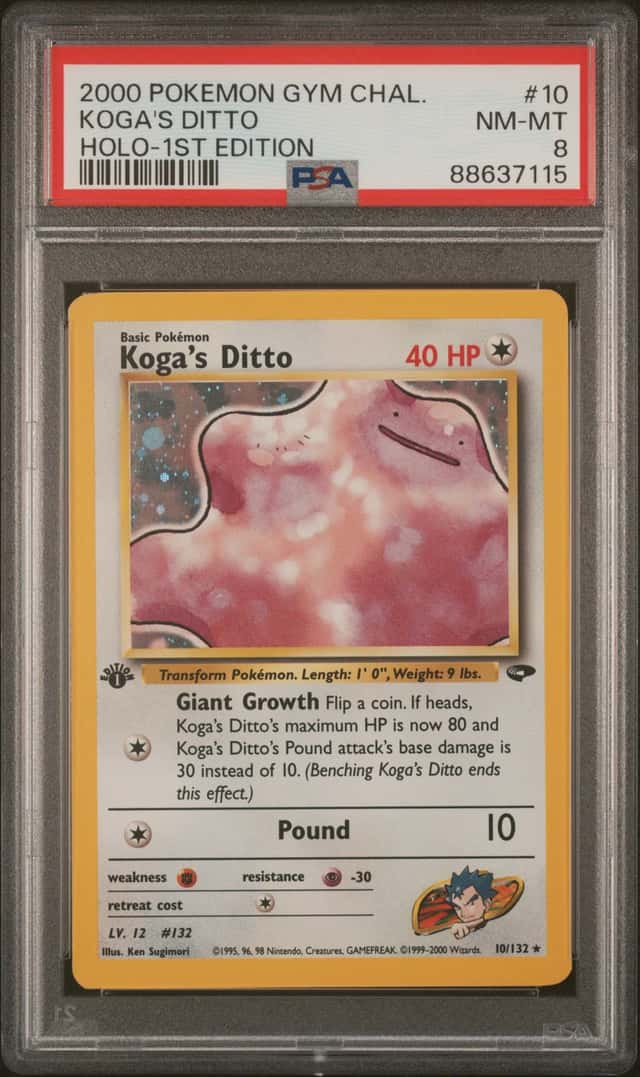 Koga's Ditto