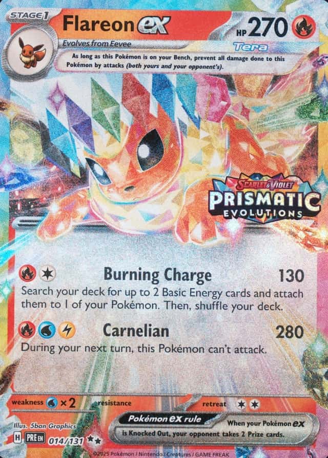 Holo · Box Exclusive Surprise