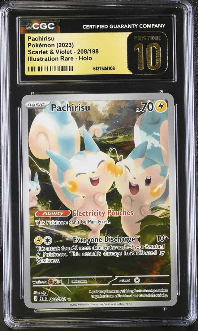 Pachirisu