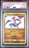 Garchomp