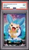 Minun
