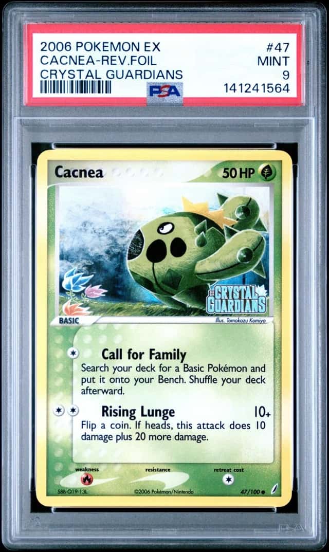 Cacnea