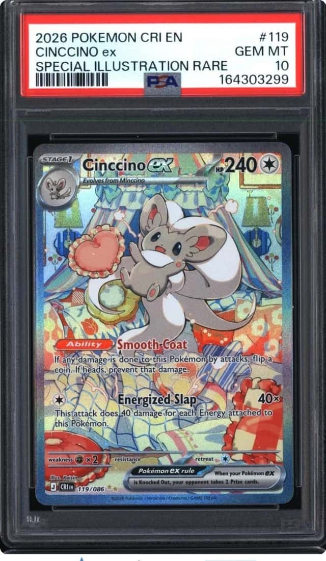 CINCCINO ex