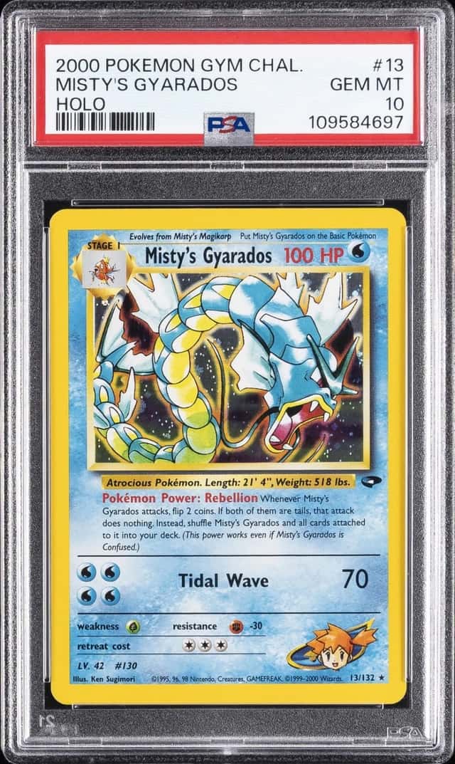 Misty's Gyarados