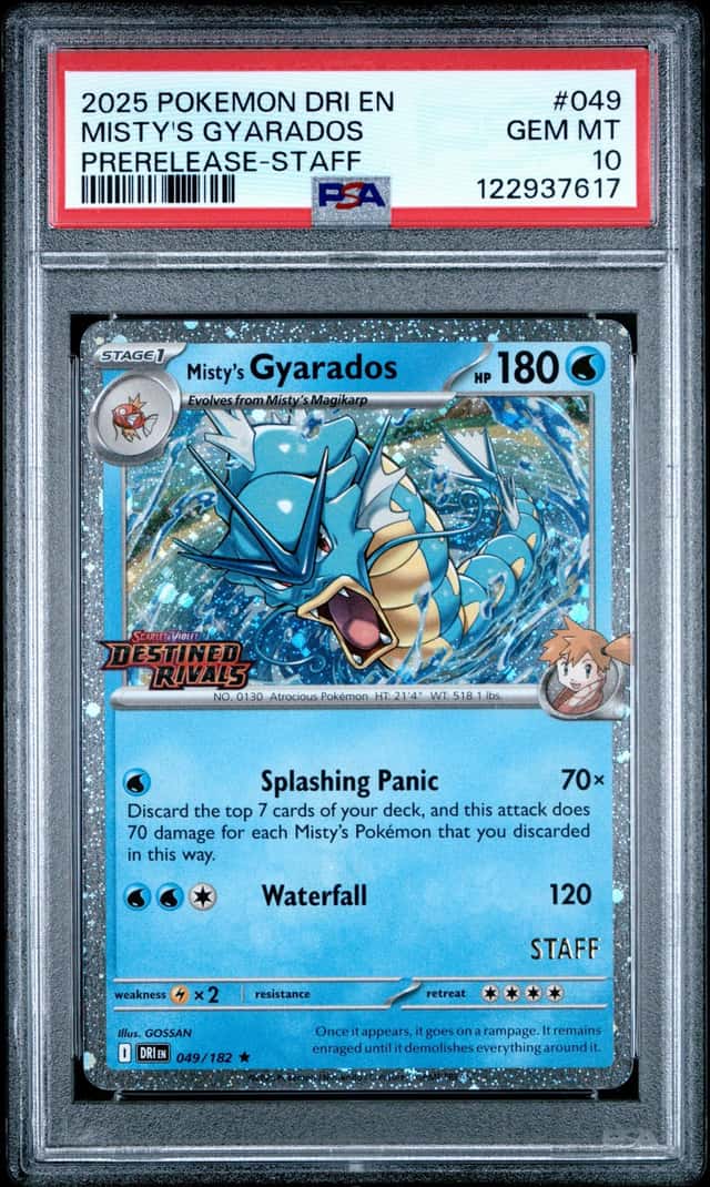 Misty's Gyarados