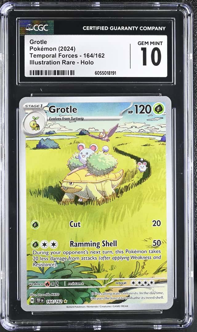 Grotle