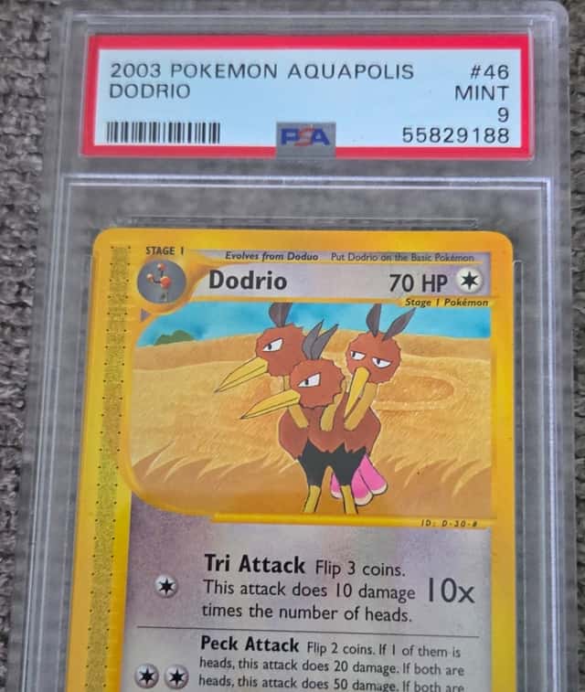 Dodrio