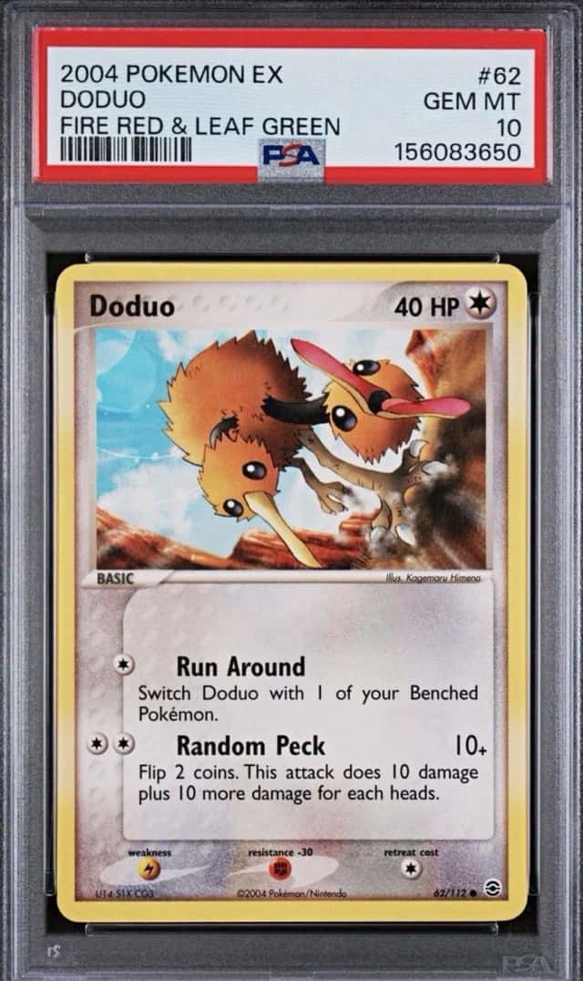 Doduo