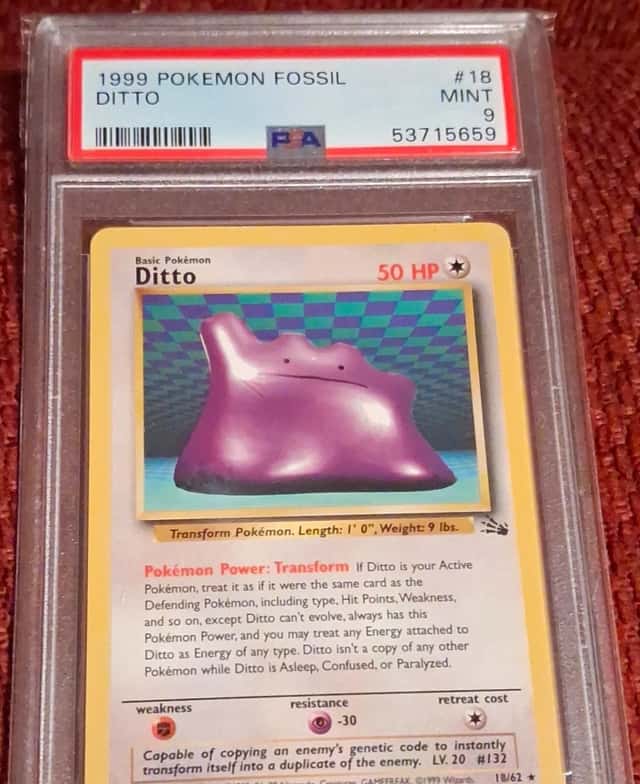 Ditto