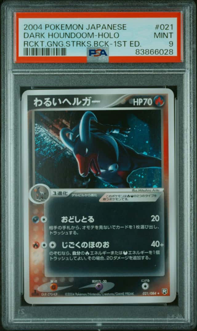 DARK HOUNDoom