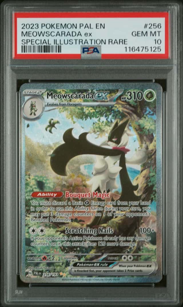 MEOWSCARADA ex