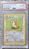 Raticate