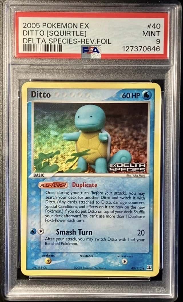 Ditto [Squirtle]