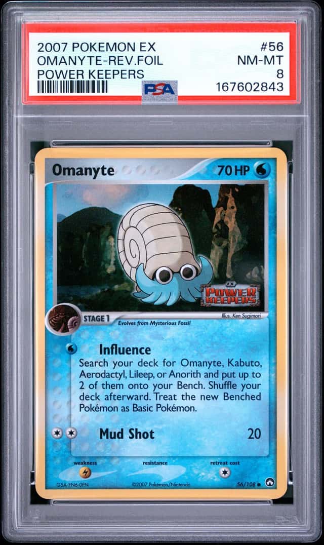 Omanyte