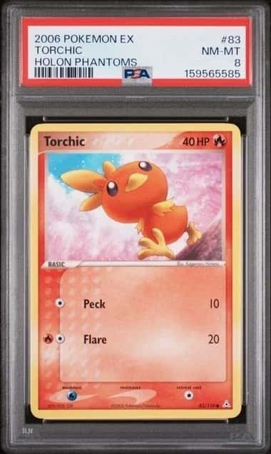 Torchic