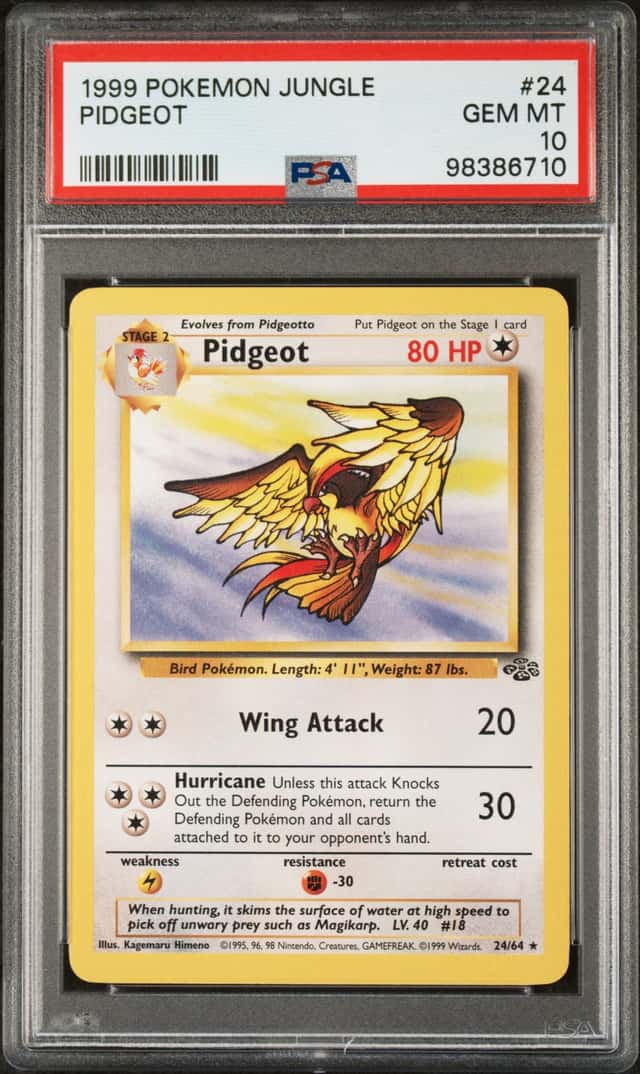 Pidgeot