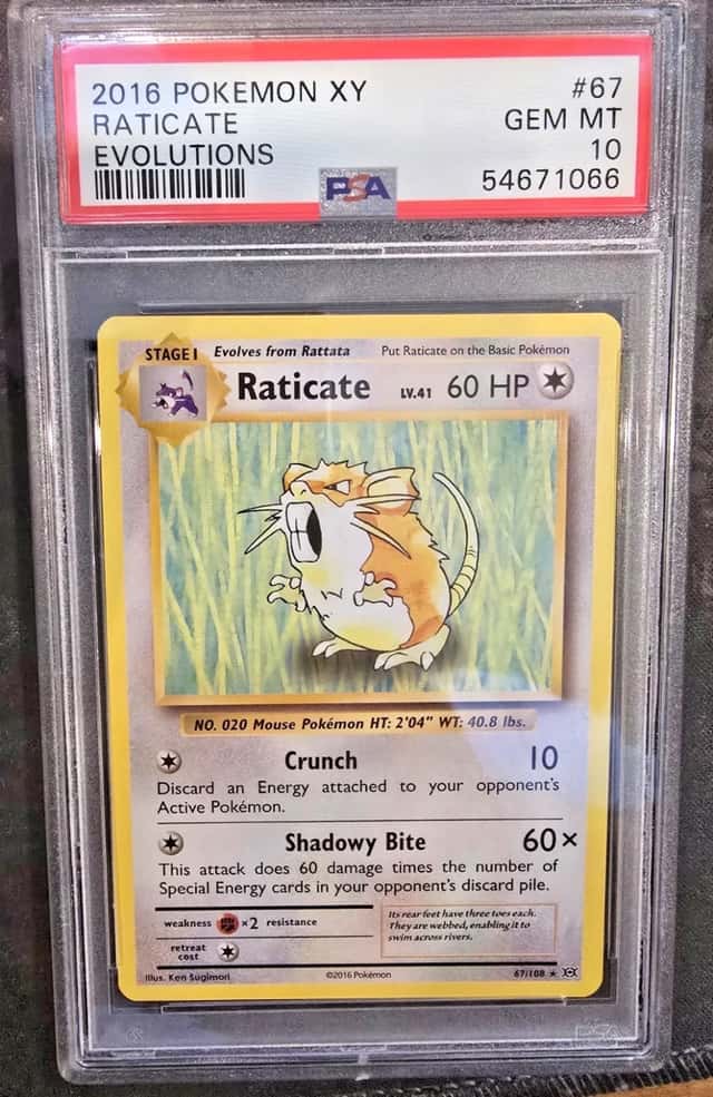 Raticate