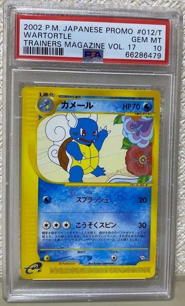 Wartortle