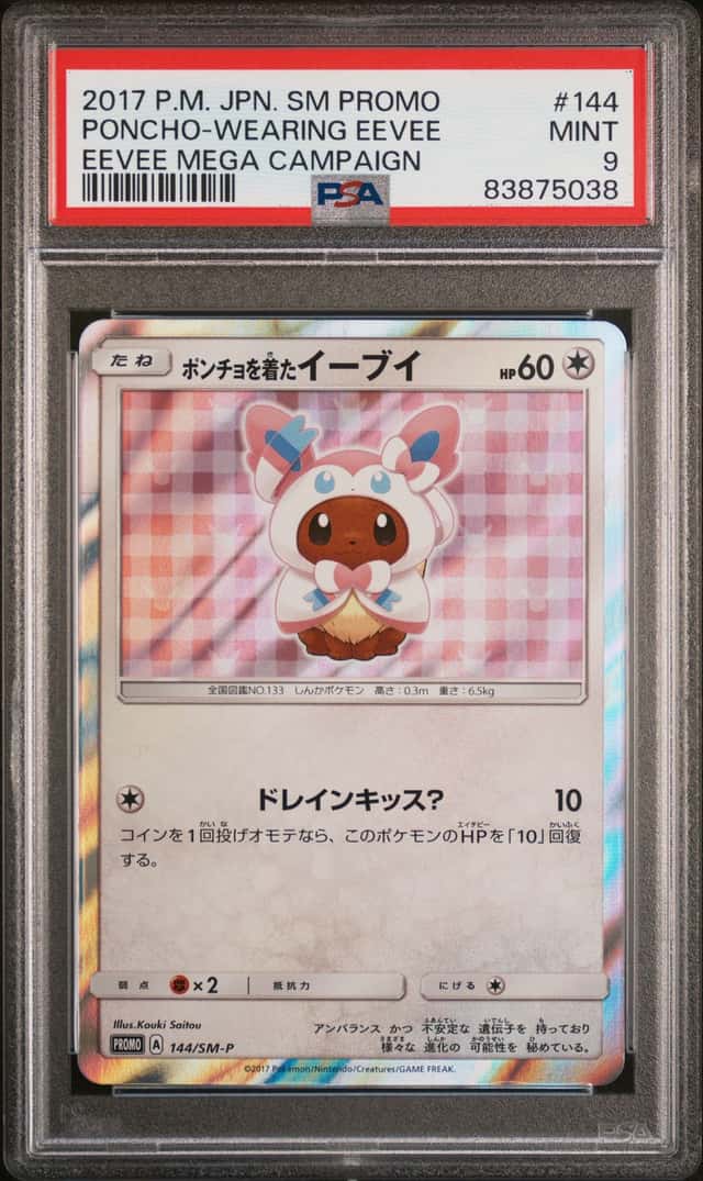 Poncho-Wearing Eevee