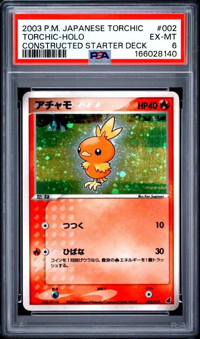 Torchic